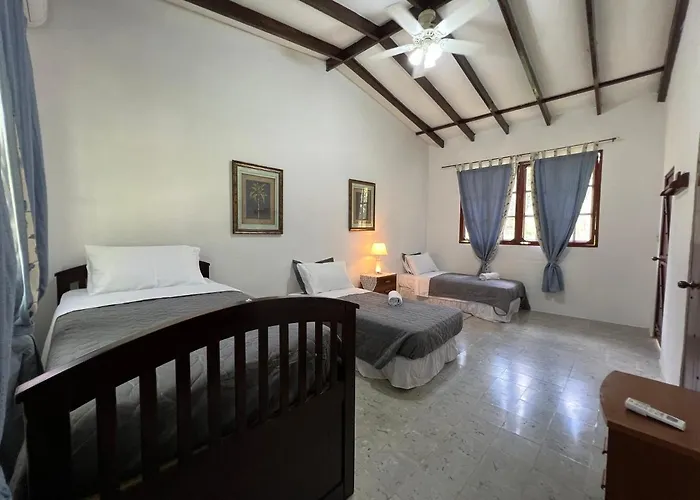 La Casa De Los Patos