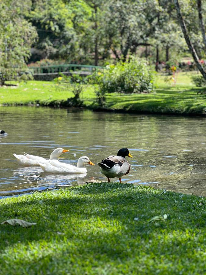La Casa De Patos Pensión El Valle de Anton