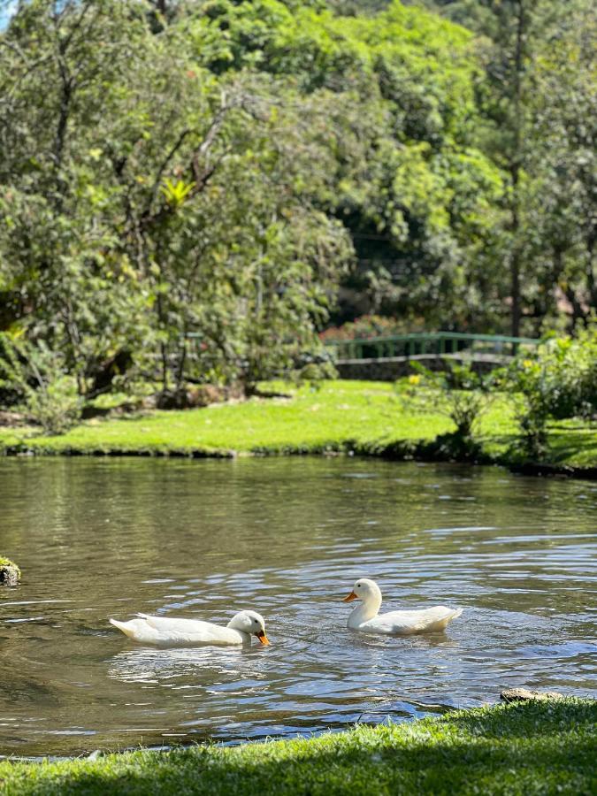 La Casa De Patos El Valle de Anton