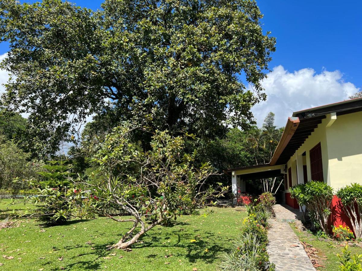 La Casa De Patos